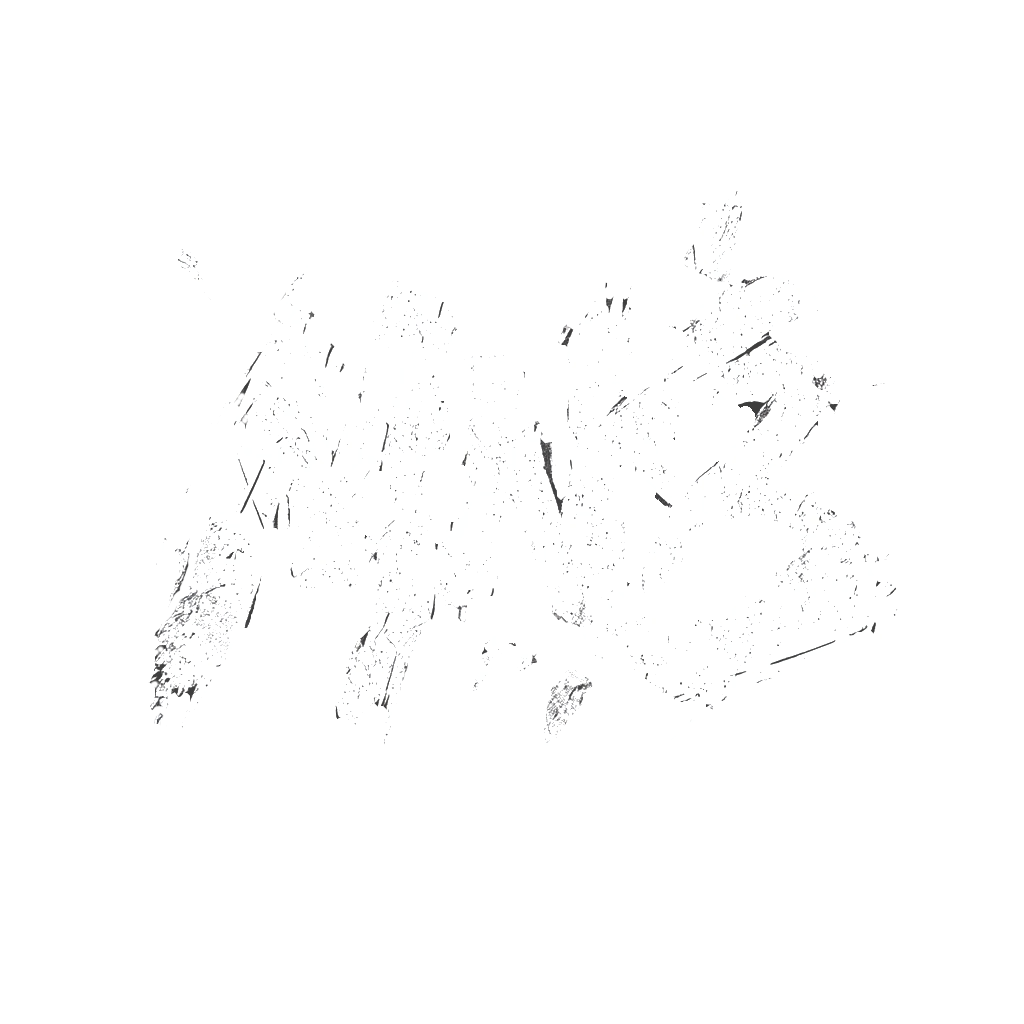 MN8
